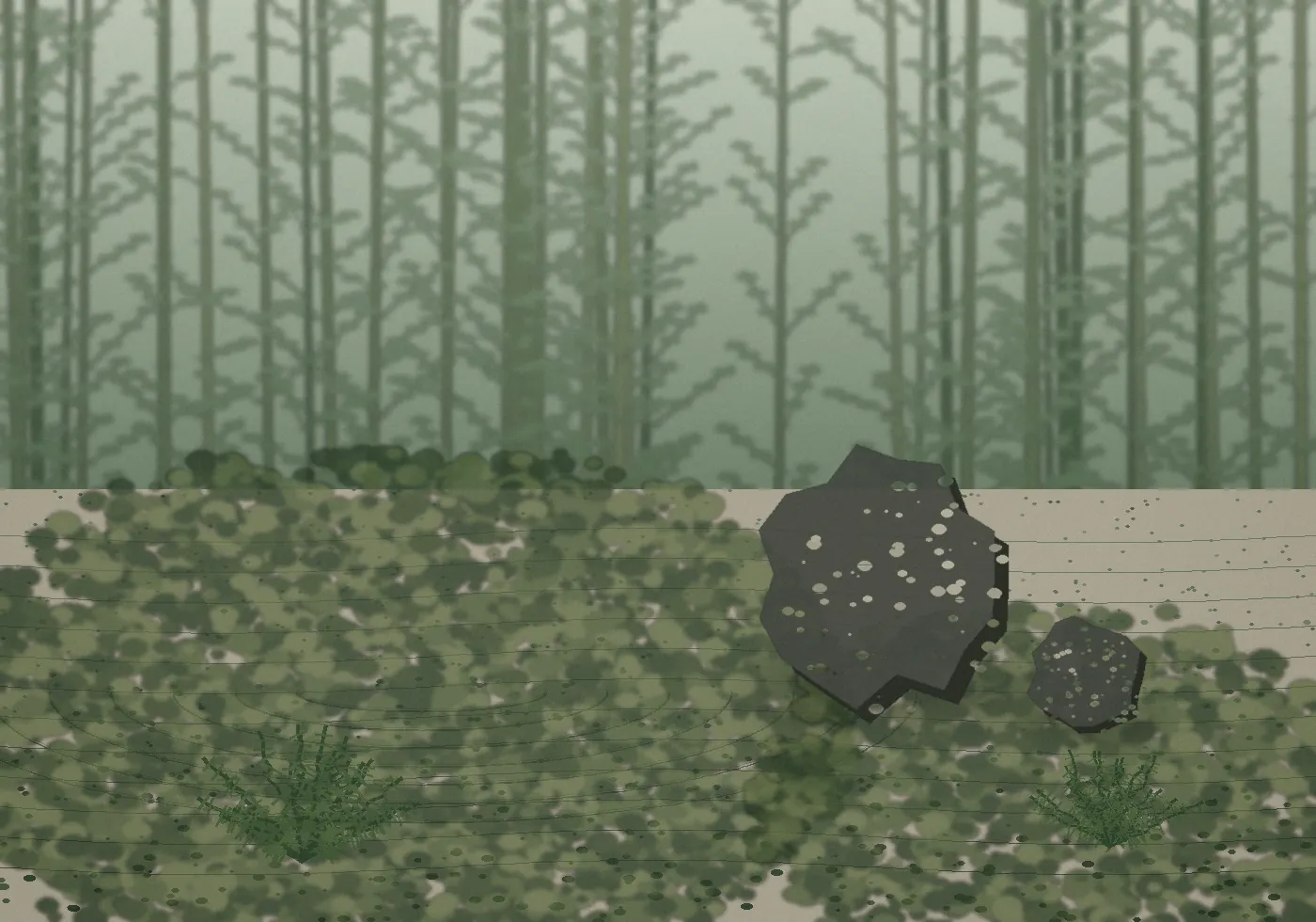Moss and fern planting in shade